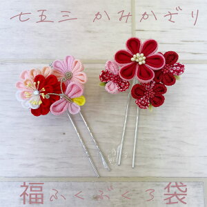 ySiΏP10{-11/3z܎O ܂ݍ׍H W 7Ό zZbg 񂴂^Cv ܂ݍ׍H  ܂Ƃߔɑ}ȒP a wAX^C w qw w no