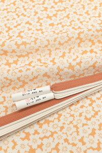 ysxH˂z ߂їg Nђ߃Zbg (05)F ŗVԁÃJWAI