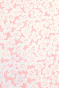 ysxH˂zїg ߂ (01)F JWA