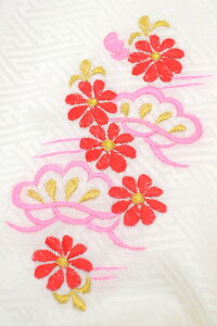 Web菤i qlp hJ  (06598)