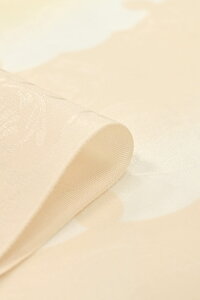 yӂz 􂦂鐳ߒ@ COdđ㍞݁ u֝򂵊ۋeEx[Wv JRK13-1 ł肢c̃VNI