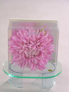 著aa[X󂠂 l UBe CxgtH[} [a I{Q ܎OƎ w  p[eB[Z[ No.5008-RP[Xc14cm×14cm×