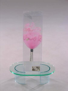 著aa[X󂠂 l UBe CxgtH[} [a I{Q ܎OƎ w  p[eB[Z[ No.5329-RP[Xc22.0cm×7,0cm×