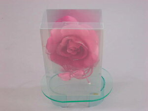 著aa[X󂠂 l UBe CxgtH[} [a I{Q ܎OƎ w  p[eB[Z[ No.GW-RP[Xc19cm×12,0cm