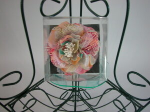 著aa[X󂠂 l UBe CxgtH[} [a I{Q ܎OƎ w  p[eB[Z[ No.6959DP[Xc13.5cm×13cm×