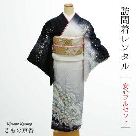 楽天市場 かっこいい 大人っぽい 着物セット 和服 レディースファッションの通販