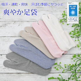 足袋 レディース 夏用 涼しい 東レ セオアルファ ストレッチ足袋 ドライ セオα カラー 伸びる足袋 ソックスタイプ コハゼ無し 女性用 フリーサイズ 単衣足袋 簡単 カバー 足袋ソックス 足袋靴下 口ゴム 白 グレー 青 ブルー ベージュ ピンク 全5色 日本製