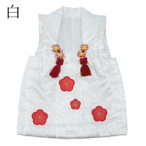 zR[g z Pi ̎q  ܎O  sN  3 3 ~ hJ dq  n n 킢  49cm Ocg  a xXg `bL  HD Z ͂Ă 񂿂 