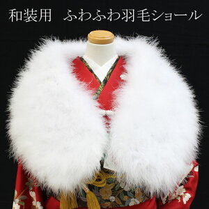 V[ l U 唻 L 傫 t@[ H  tFU[ }{[ Xg[ ӂӂ {[~[  ꒅ   Zj[ T ap }\