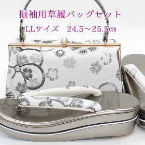 obOZbg Up l LLTCY 2L 24.5cm 25cm 25.5cm 傫TCY  obNZbg  obO fB[X Ǝ  ђn  zCg Vo[  ^bNVo[ ÓT 