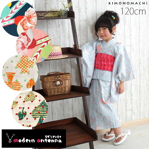 _Aei ߒPiuLbY120cmvǂ ȗ uh ςD qy[֕szss2506kkd50