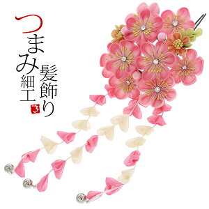 yPrices down4zy l Ǝz܂ݍ׍H   sN 񂴂  U  U PiusNڂ ܂݂̂ԁv܂ݍ׍H񂴂 OBA̐U