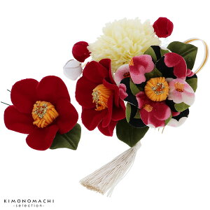 Ǝ@2_ZbguԐF@ւ̂ԁvс@@l@U@Ԕ ց@ ρ@񂴂@t[ i1545jy[֕szH wAANZT[ss2506wkk10