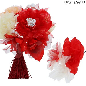 y@l@ƎzU 2_ZbguԐF̂ԁAp[r[YvԔ  bh Ǝ ľт R[ U t[R[ i4022jy[֕s