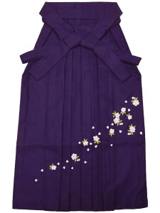  Pi Ǝ w q  ƌ n ̎hJ ̎q LbY s wt wZ@wZ@Ǝ@WjA TCY   GW   ubN lCr[ p[v O[