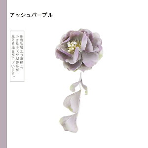 yPrices down2zyAzyAEgbgizԔ ujAXJ[̂ԂƖ[̃Nbv S5Fv wAANZT[ lpEqp fB[X  a  ܎O ̎q 