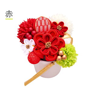 (lƎ10OFF12/11) l ܂ݔ Us 12_Zbg ut[|bg@ԁEE S3F No.8334 a miwakav Up Ԕ l Ǝ   H