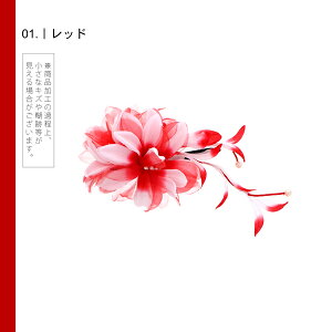 yPrices down3zyAzyAEgbgiz Nbv u_AƖ[@Nbv@S2Fv wAANZT[ lpEqp fB[X  a  JWA ܎O 