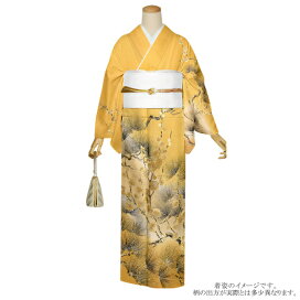 楽天市場】 全商品 > 正絹 > 正絹着物 > 訪問着 : 京都きもの町