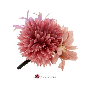  Nbv Piu}ƃ[ ItzCgER[sNE`[Nu[Ebhp[vvS4wAANZT[ lpEqp fB[X  a  JWA