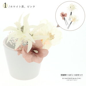 Ԕ3_ZbguAWTCƃ[ zCgnAsNEp[vO[v{ wAANZT[ lpEqp fB[X  a  JWA ܎O ̎q |