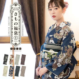 洗える着物 単品「袷着物単品 全8柄」KIMONOMACHI オリジナル きもの福袋から飛び出た着物単品 サイズS/M/L/LL 2024-2025新作 小紋 レディース キモノ【メール便不可】ss2512kck10