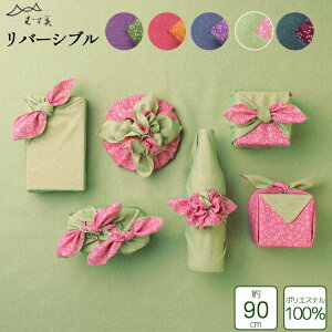 ނ 90 o[Vu 90cm ӂ낵 |GXe100 S5Fy[֑ΉOKz