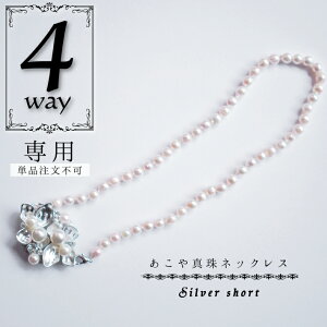 4way񂴂(Vo[) p@^V[glbNX v[g yan001-01
