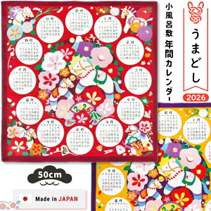 J_[ 2026N n  ^yXg[C~ 50cm C~ 100% 킢 x N fBXvC bsO CeA v[g  Mtg {yY COyY G aG