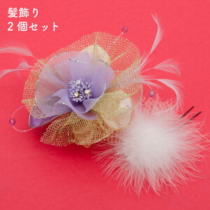 Up  oN򉻕i ݌ɏi p[v zCg   2Zbg ԕ l  U葳  a  a fB[X p