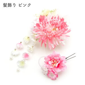 Up  2Zbg sN F ԕ l  U葳  a  a fB[X p