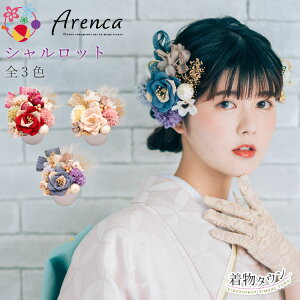  l Ǝ Arenca AJ Vbg 16_  O[ x[W bh  tHgt[ ʐ^  ؂₩  U葳 U a   a OB