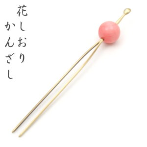 񂴂 Ԃ {} 4814-2 sN  ʂ񂴂 K⒅    ݂ wAANZT[   ̓