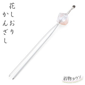 񂴂 Ԃ { ĕ   sN K⒅    IV ݂ wAANZT[   ̓