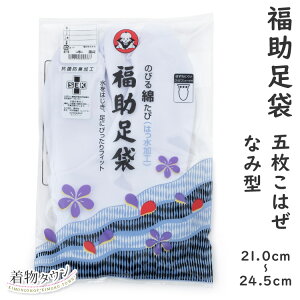   LтȃLR H 3185 Ȃ݌^ 21.0`24.5cm 5͂ 炵 fB[X Y { 