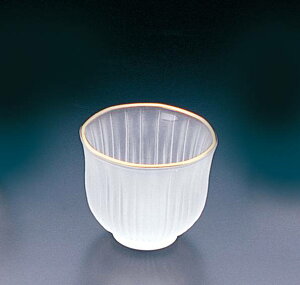 Ot H aH  fUC  P[L a  S[WX  i hg v[g    i aHXg ~V ͓ H ̂Ȃ a