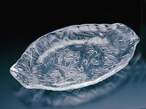 8224 ͗l  KXM  ₷ [ {   Ɏq ϋ ͓ H V  킢  CeA g₷ ag  ΂ 