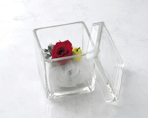 �K���X�̕�Δ�S�@�y�K���X�@��������z�y�L���j�X�^�[�z