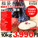 【福袋米 スペシャルパック】 白米5kg×2袋 【平成29年:滋賀県産】【送料無料】(ゆうパックに限る)