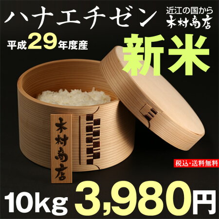 【新米!】ハナエチゼン10kg【平成29年・滋賀県産】