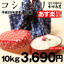 コシヒカリ　10kg【平成28年：滋賀県産】あす楽対応♪【送料無料】 ランキングお取り寄せ