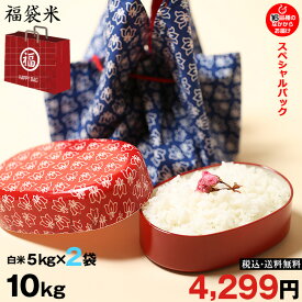 【福袋米　スペシャルパック】　白米5kg×2袋 【令和元年：滋賀県産】　【送料無料】2品種でのお届けとなります