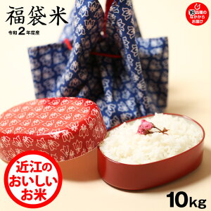 【新米】【福袋米】 白米 10kg ★★5kg×2袋★★ 【令和2年:滋賀県産】(1品種でのお届けとなります)
