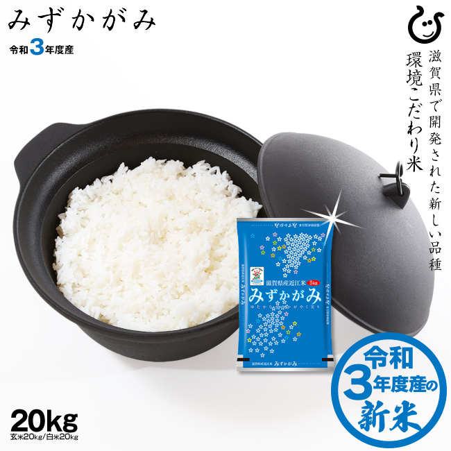 公式ストア みずかがみ は 滋賀県で開発された新しいお米 安全 新米 玄米のまま20kgまたは精米済み白米20kg 環境こだわり米 送料無料 令和3年 滋賀県産