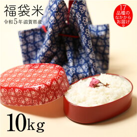 福袋米 10kg (5kg×2袋) 白米 お米 令和5年 滋賀県産 一品種でのお届け♪ 80