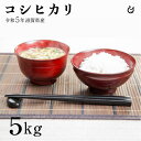 コシヒカリ 白米 玄米 5kg 令和5年 滋賀県産 米 お米 環境こだわり米 80