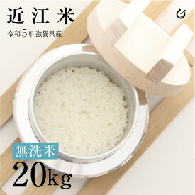 ★★無洗米★★ 近江米 20kg 令和5年 滋賀県産 米 お米 送料無料 あす楽対応♪ 100