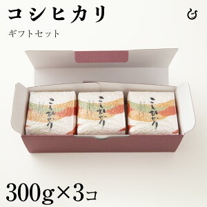 KimshoMtgZbgE~ėp RVqJ300g×3 v900g ߘa7N ꌧY ^pbN 60