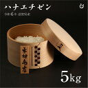 ハナエチゼン 白米 玄米 5kg 令和6年 滋賀県産 米 お米 送料無料 80