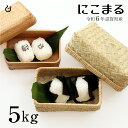 にこまる 白米 玄米 5kg 令和6年 滋賀県産 米 お米 送料無料 80